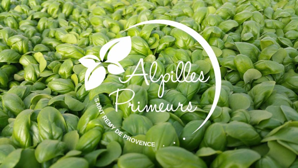 logo alpilles primeurs